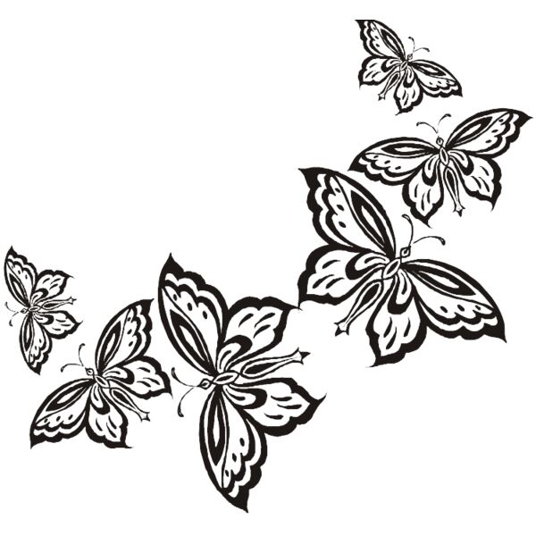 Butterflies in a row Thumbnail