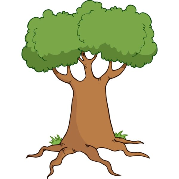 Tree Roots Thumbnail