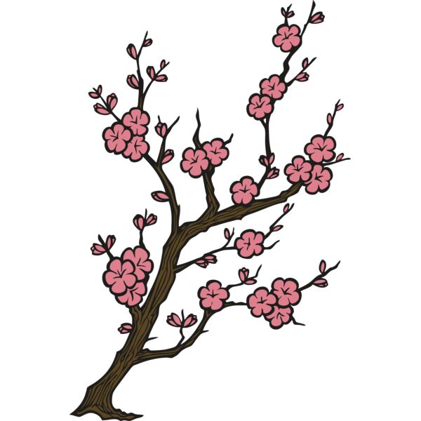 Cherry Blossom Thumbnail