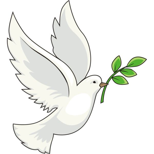 Peace white dove Thumbnail