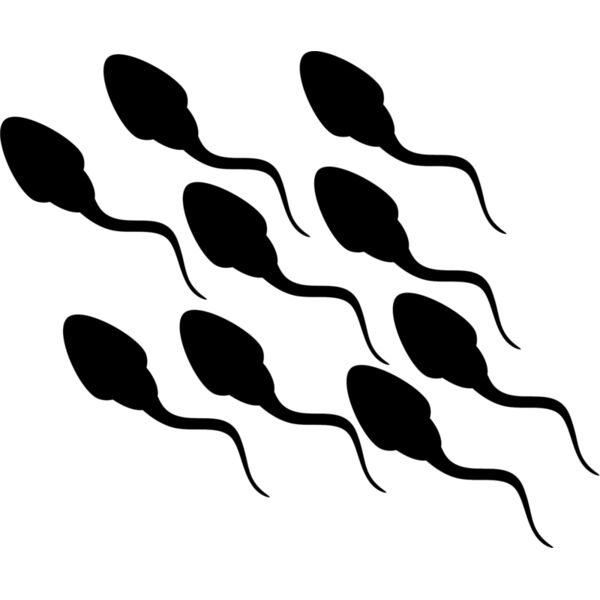 Sperm Thumbnail